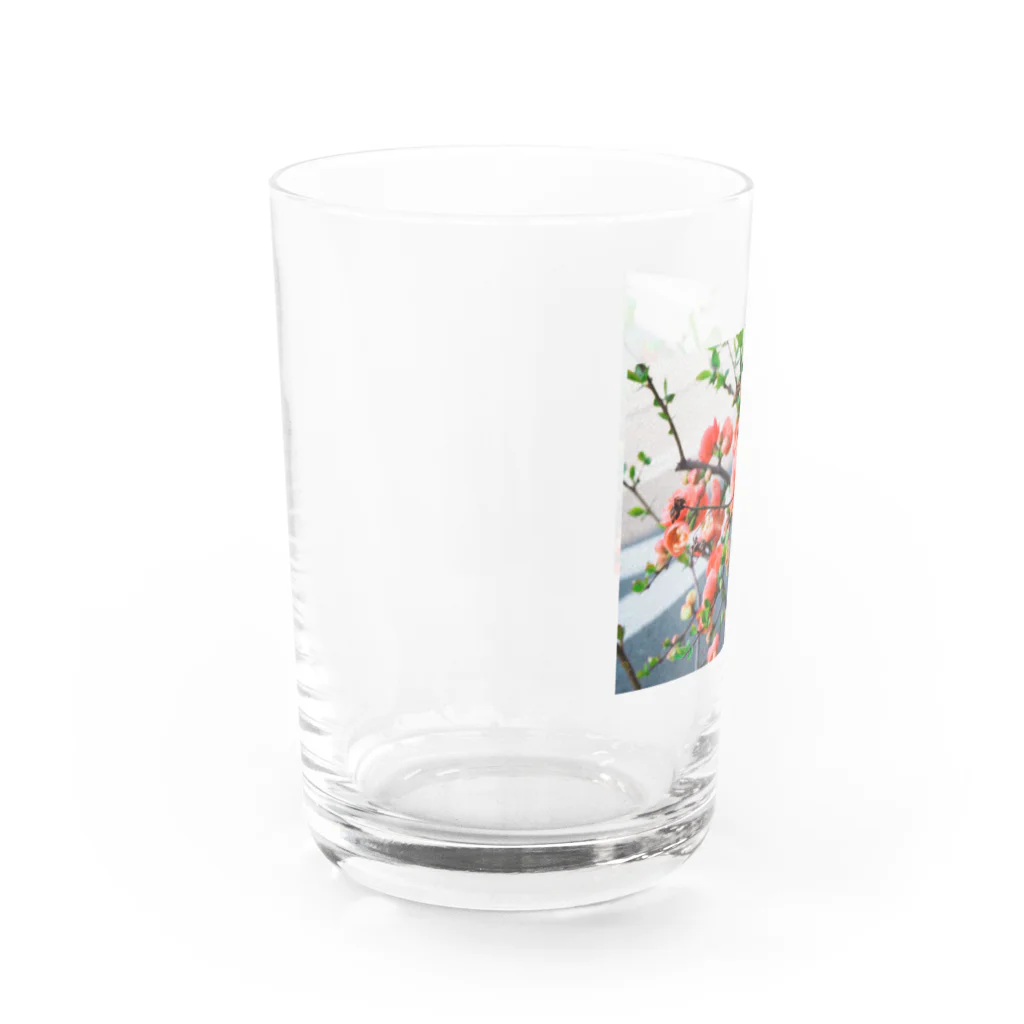 堕天使ストアの花 Water Glass :left