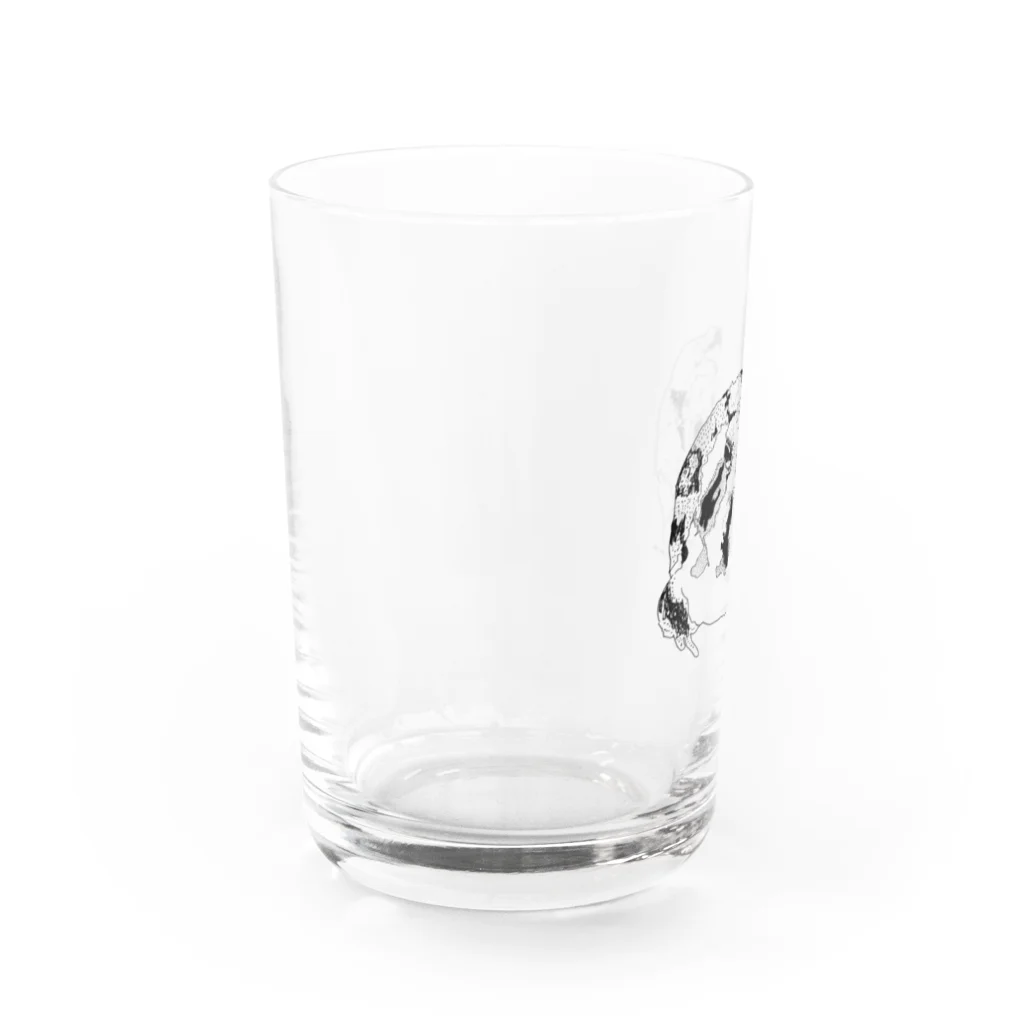 chippitomuのふくふくふくらアメフクラガエルくん Water Glass :left