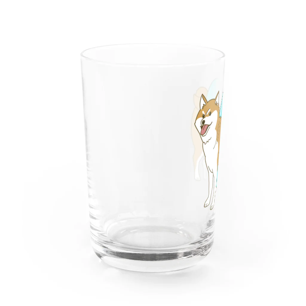 takaseのSHOPのプールに行く気の柴犬 Water Glass :left