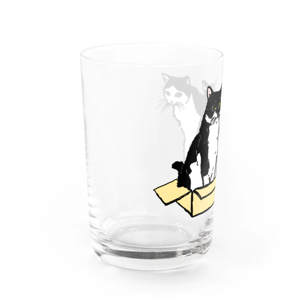 猫竹（nekotake)の箱に入りたい白黒猫たち Water Glass :left