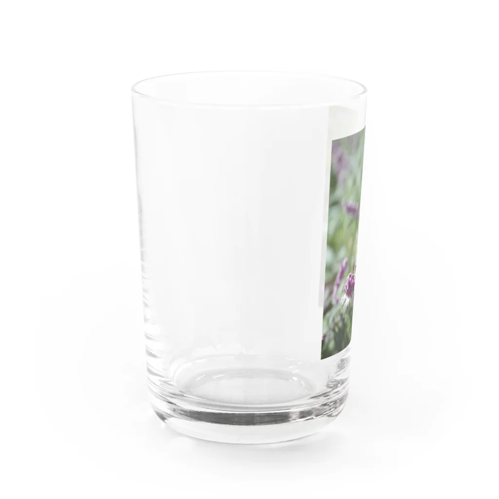 ayak_a_kayaのみつばち🐝 Water Glass :left