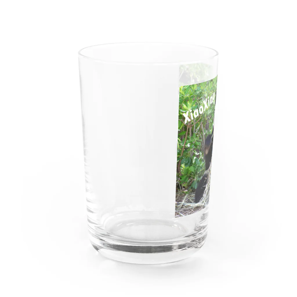 gackeyのシャオシャオ 2023春 Water Glass :left