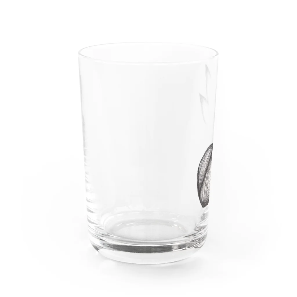 ibitsu-kaのmitaneki Water Glass :left