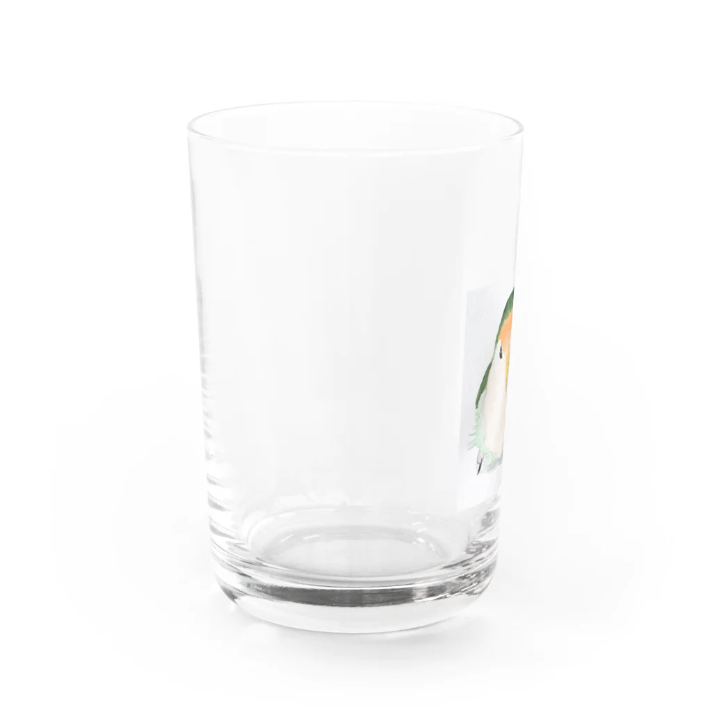 水色堂の見上げる丸いコザクラインコ Water Glass :left