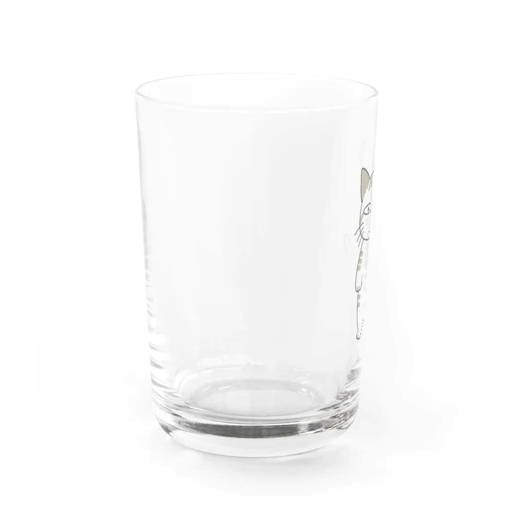 あけびの無愛想なサバトラ猫くん Water Glass :left