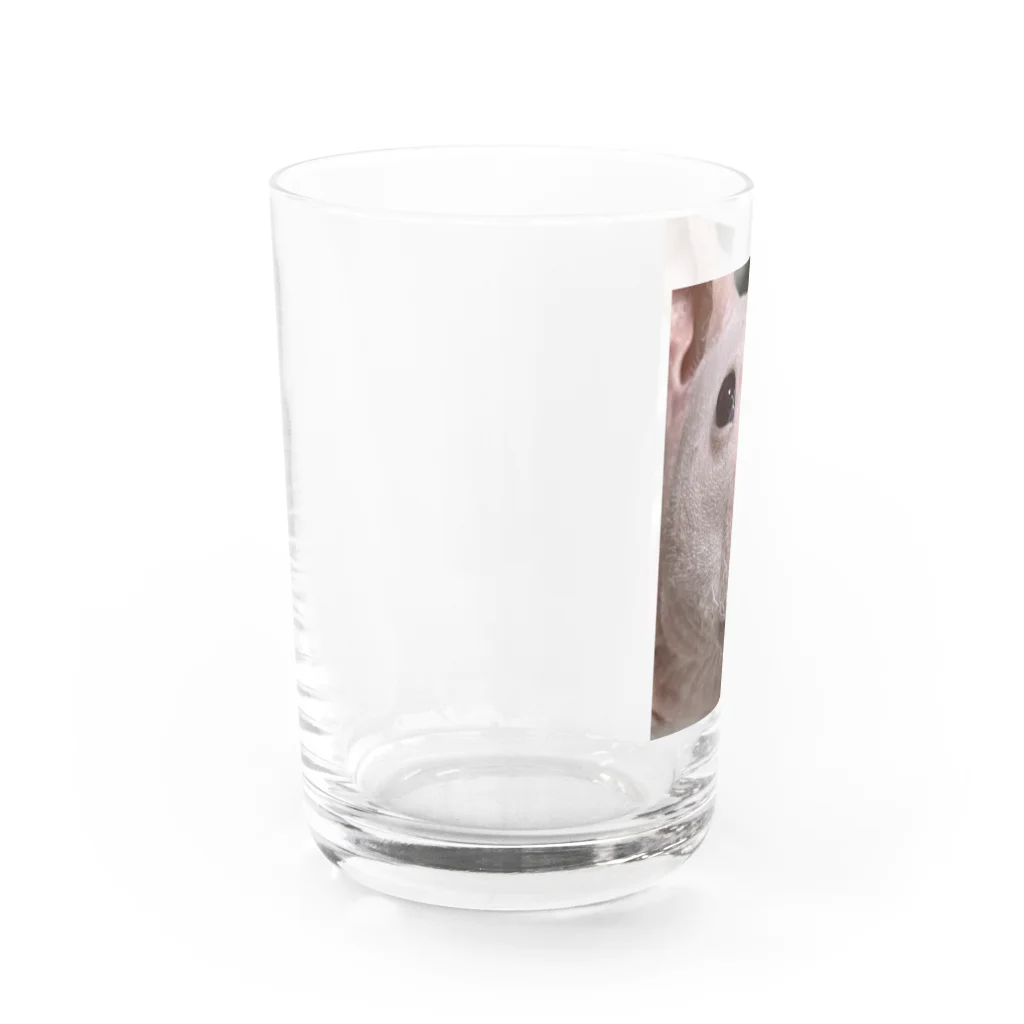 川沼池兄弟妹グッズの桃谷グラス Water Glass :left