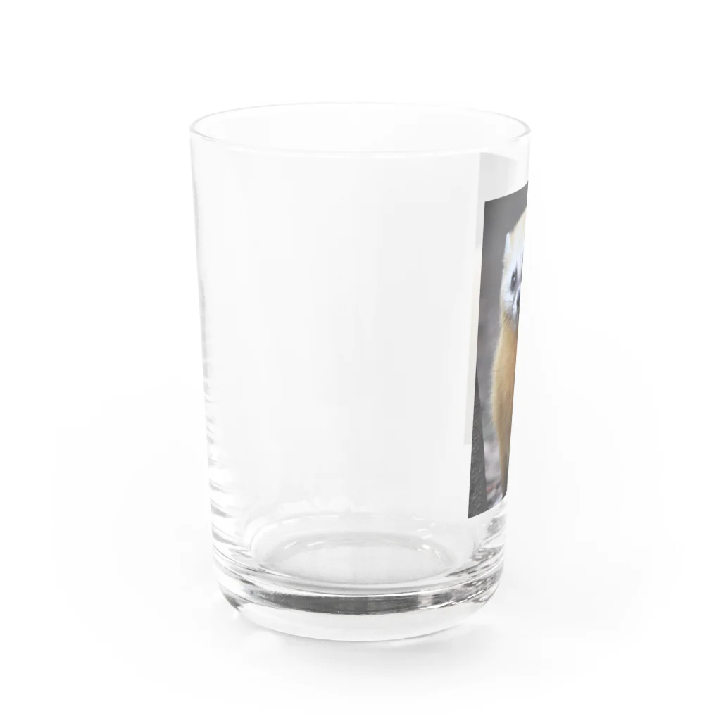 sw950502のホンドテン Water Glass :left