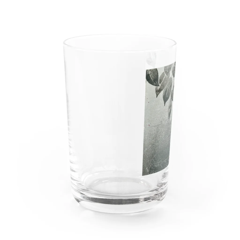 mothofthesunの白椿 Water Glass :left