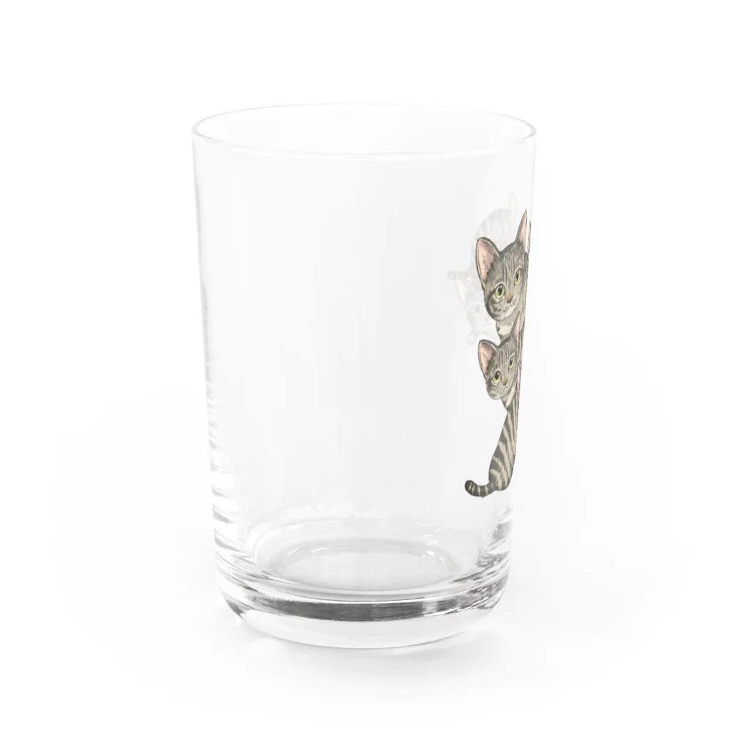 縁-yukari-のキジトラ軍団 Water Glass :left