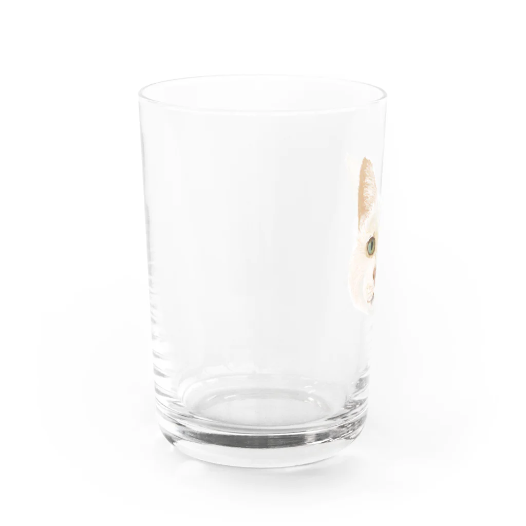 nuuko_artのねこのサニーさん Water Glass :left