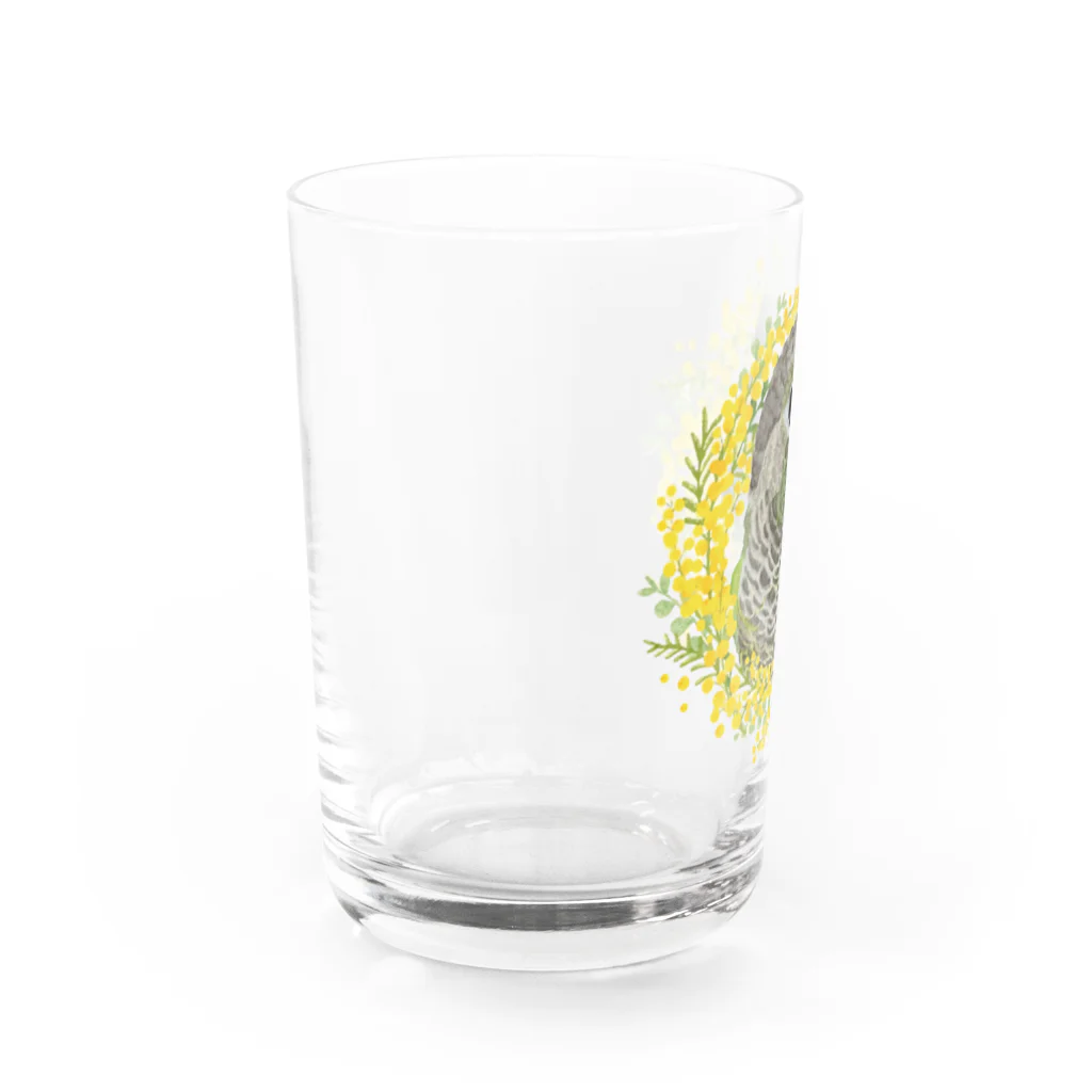 mariechan_koboの038 ウロコインコノーマル ミモザのリース Water Glass :left