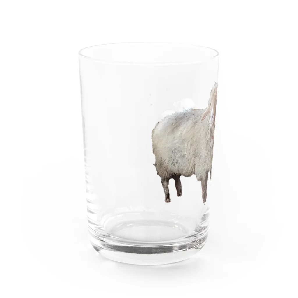 旅するナースの仔羊ルミ子 Water Glass :left