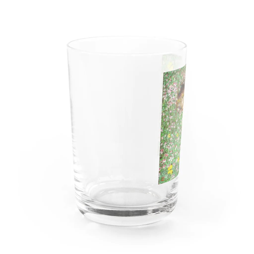 心の森ミュージアム　遊童館の母待ち Water Glass :left