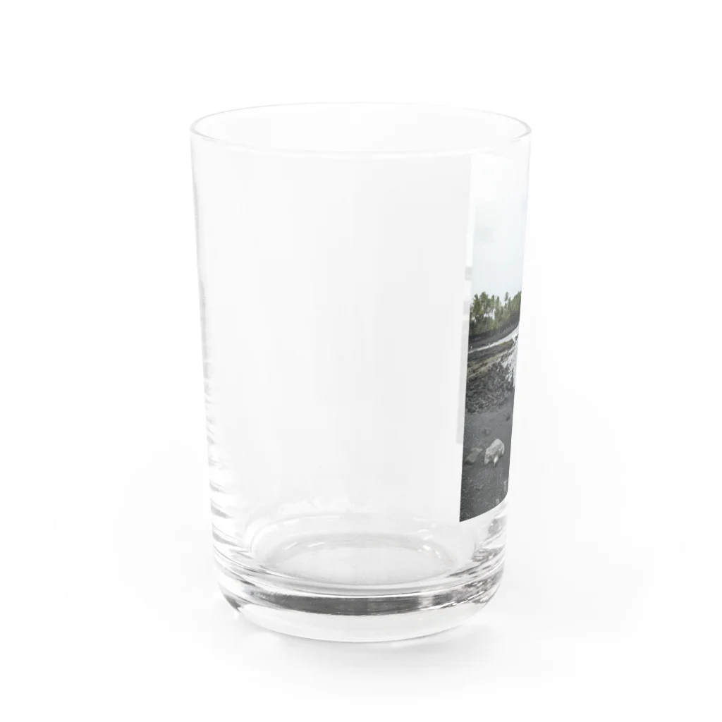 みちゅぱのハワイ島 ブラックビーチとウミガメ Water Glass :left