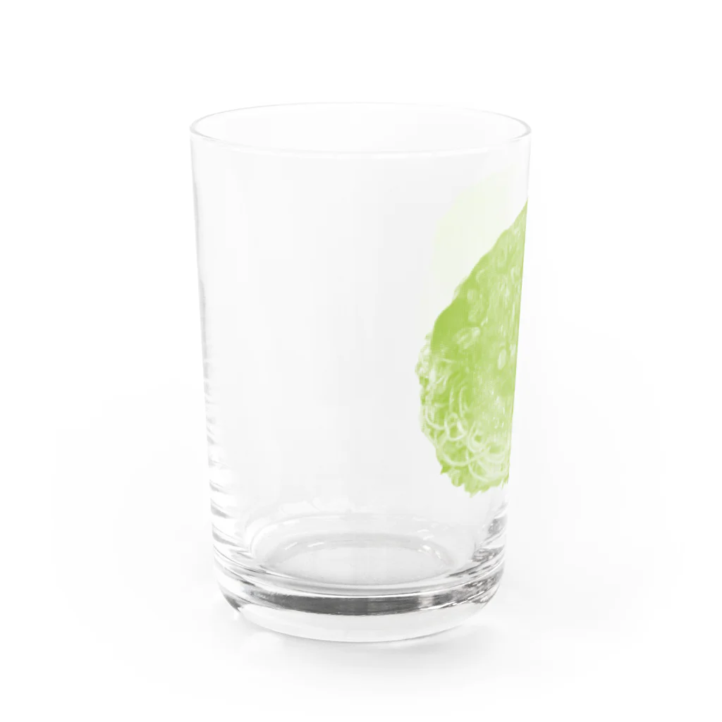 お好み焼き女ちゃんの広島おこ │green Water Glass :left