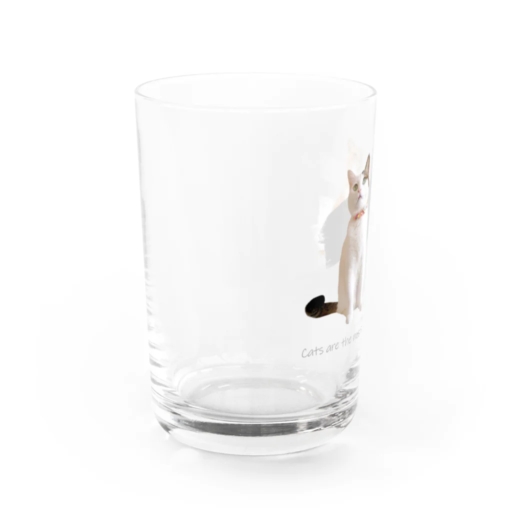 ナナちゃん・ポンちゃんのお店【SUZURI支店】のお座りねこ（グレー） Water Glass :left