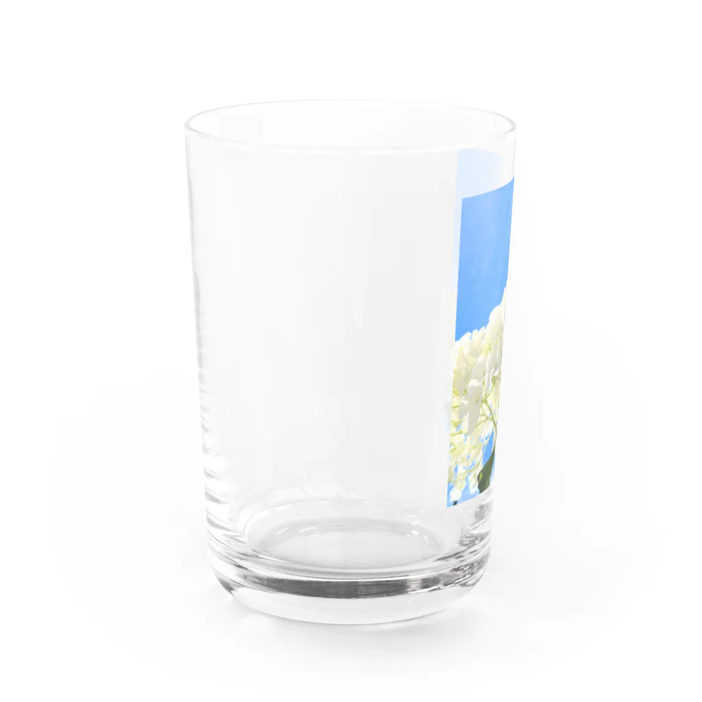 チエソーの紫陽花　白 Water Glass :left