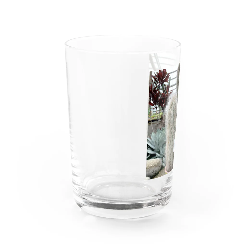 チャミコの店♡のぷっちょ★ライオン丸 Water Glass :left