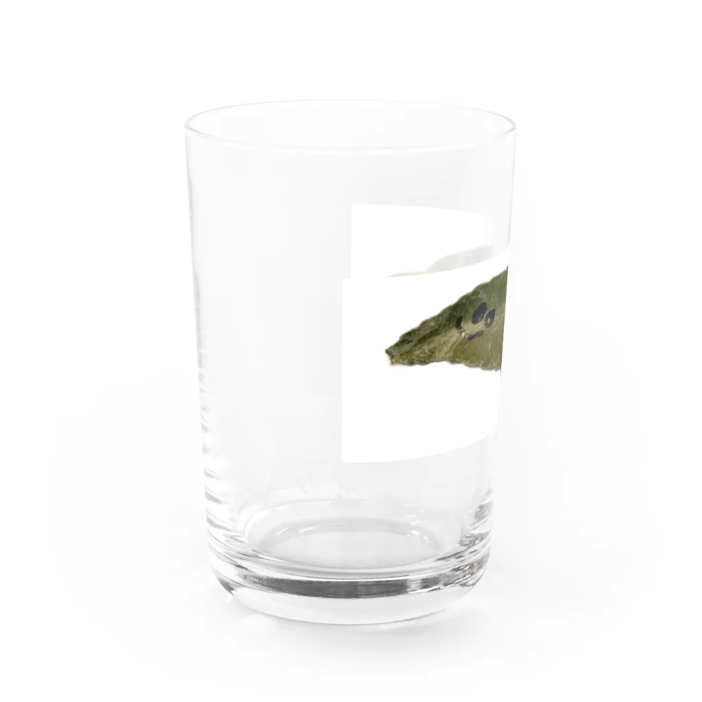 むすこたちのおみせのはっぱくん（長男） Water Glass :left