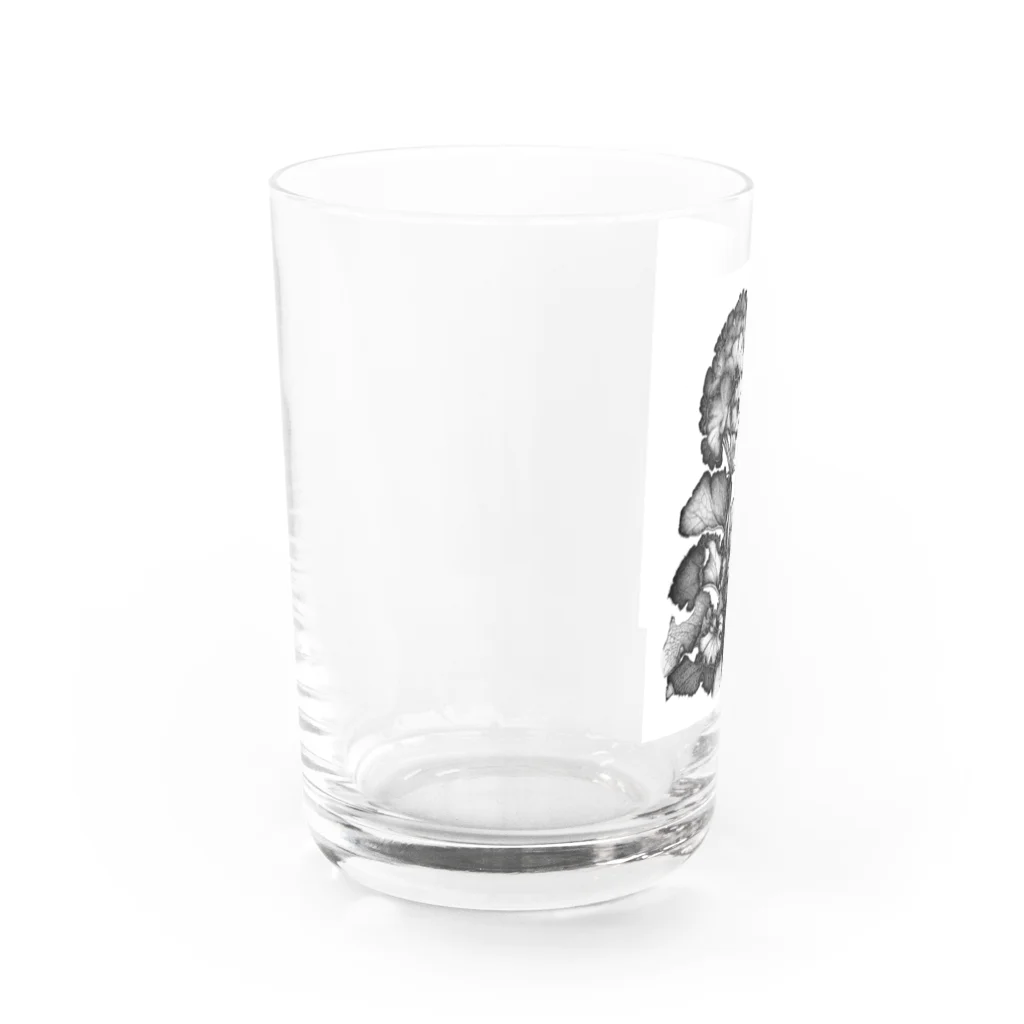 Neko-Usaのゼラニウム Water Glass :left
