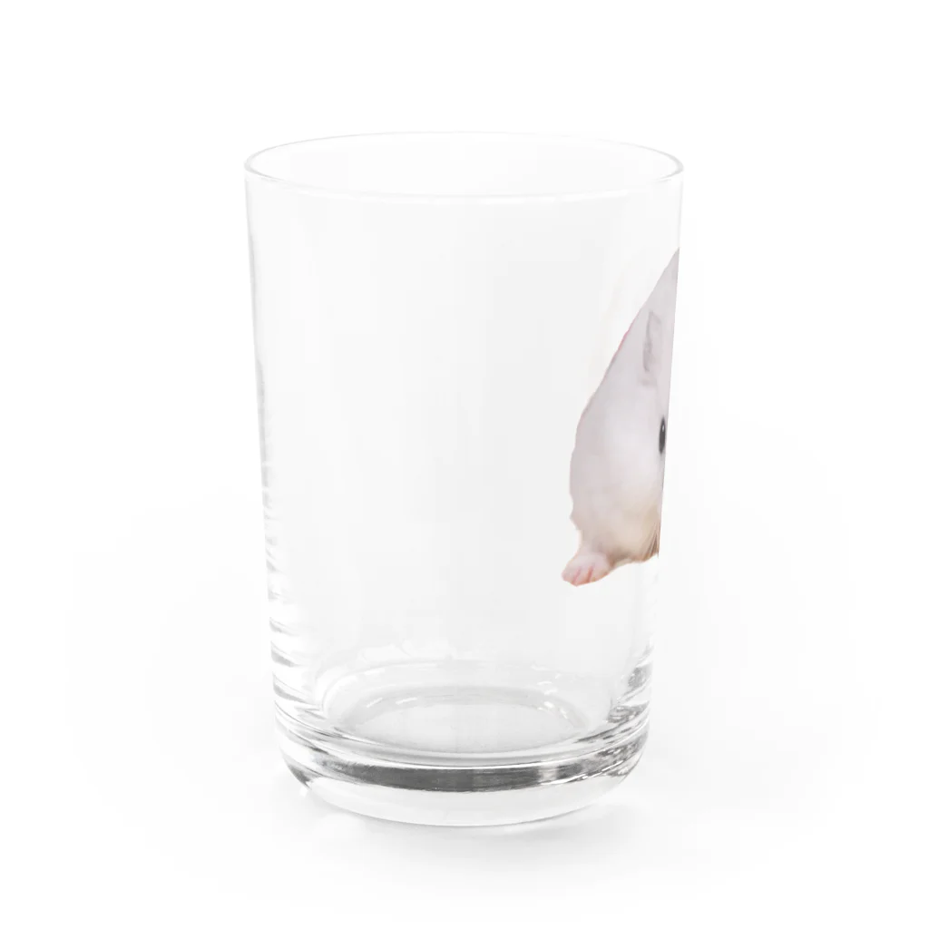 KETOPIKETOPISのうちのこハムスター Water Glass :left