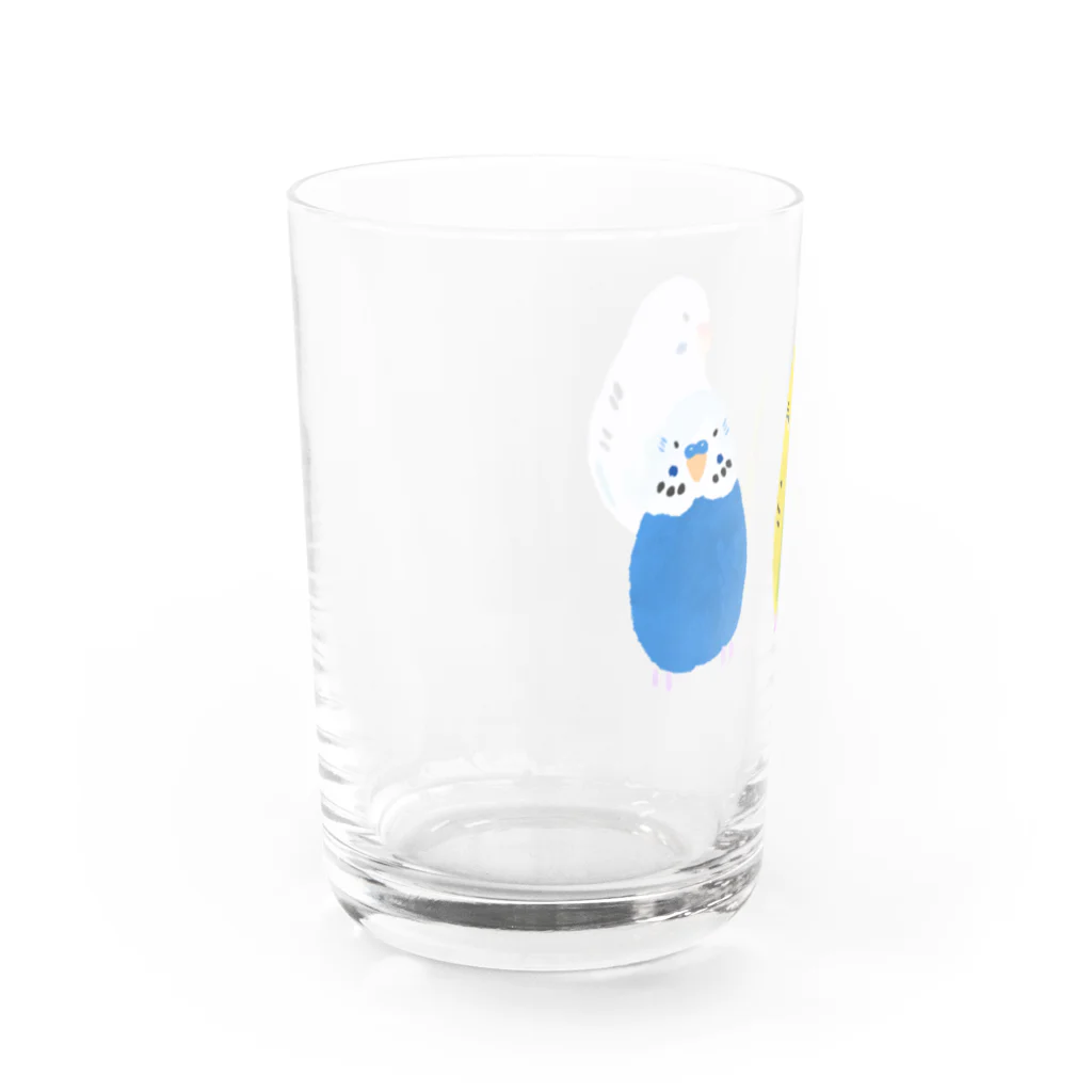 yomoyomo_yomogiのセキセイインコ_C Water Glass :left