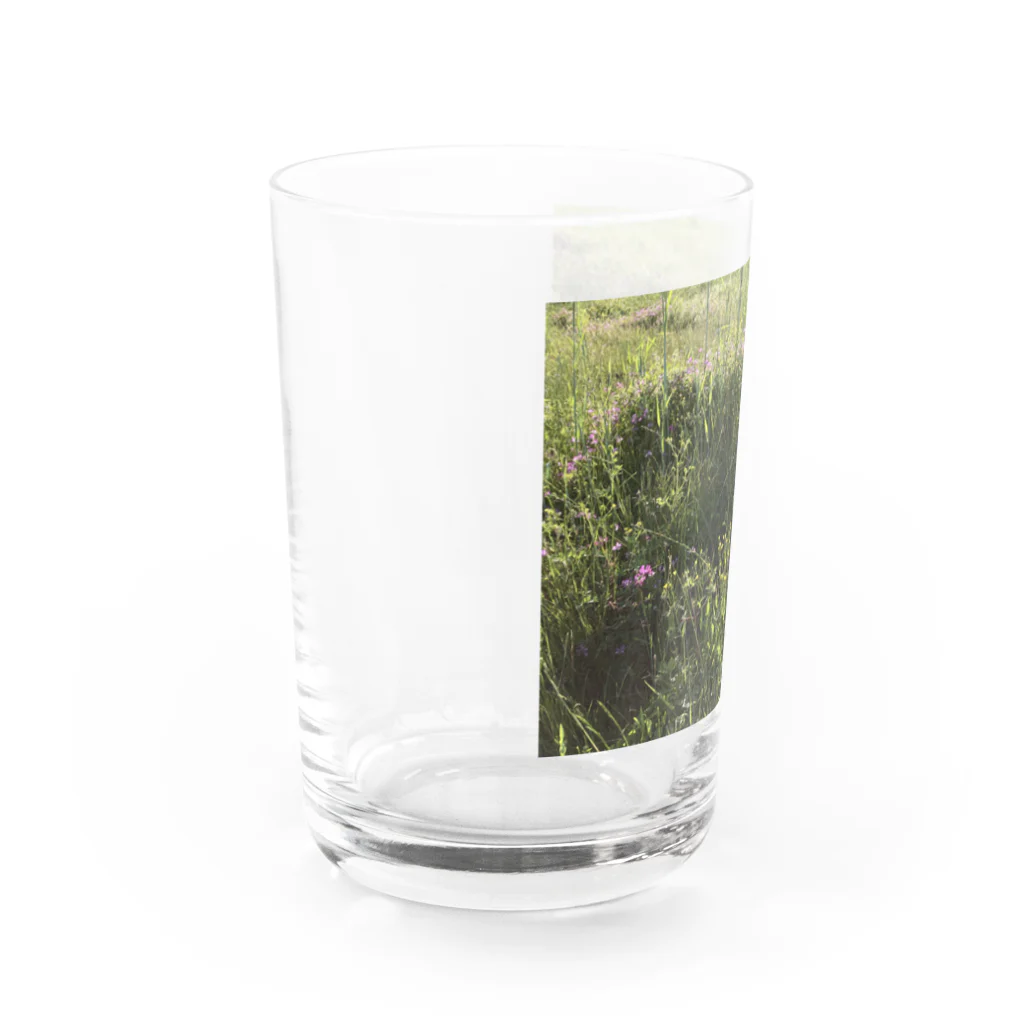 Noya___の春の草原　野花たち Water Glass :left