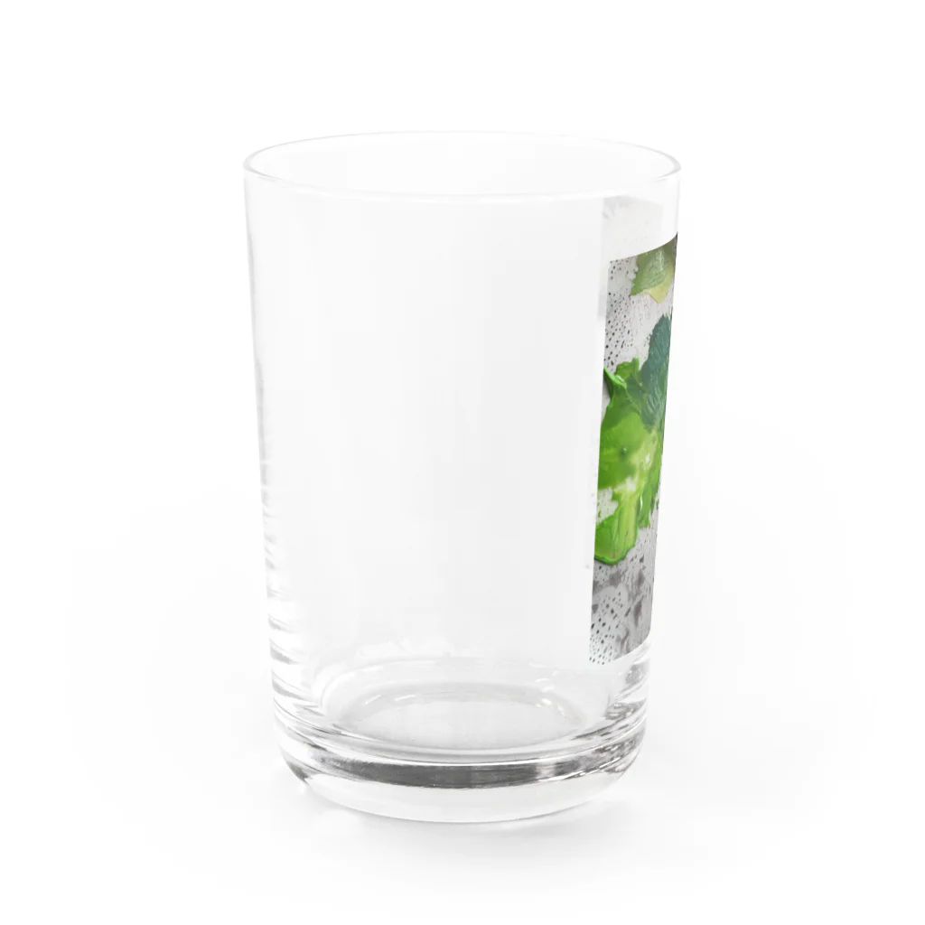daretomo-kaburanaiiのだれともかぶらないブロッコリー Water Glass :left