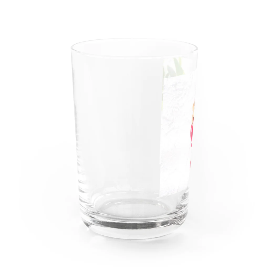 kumamia（くまみあ）のひょっこり！ふうせん（赤） Water Glass :left