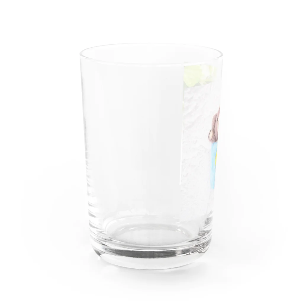 kumamia（くまみあ）のひょっこり！ホットミルク Water Glass :left