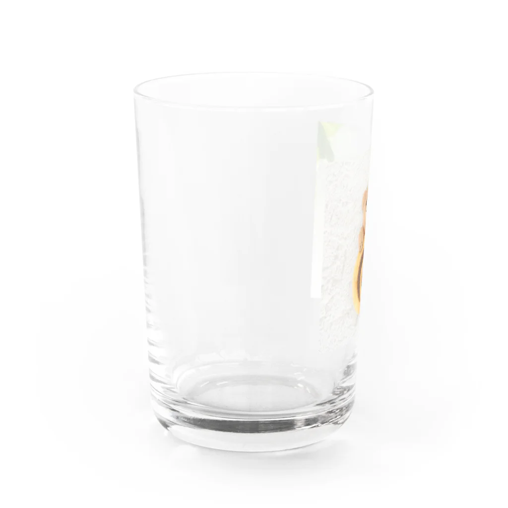 kumamia（くまみあ）のひょっこり！ぼくのクッキー（薄茶の子） Water Glass :left