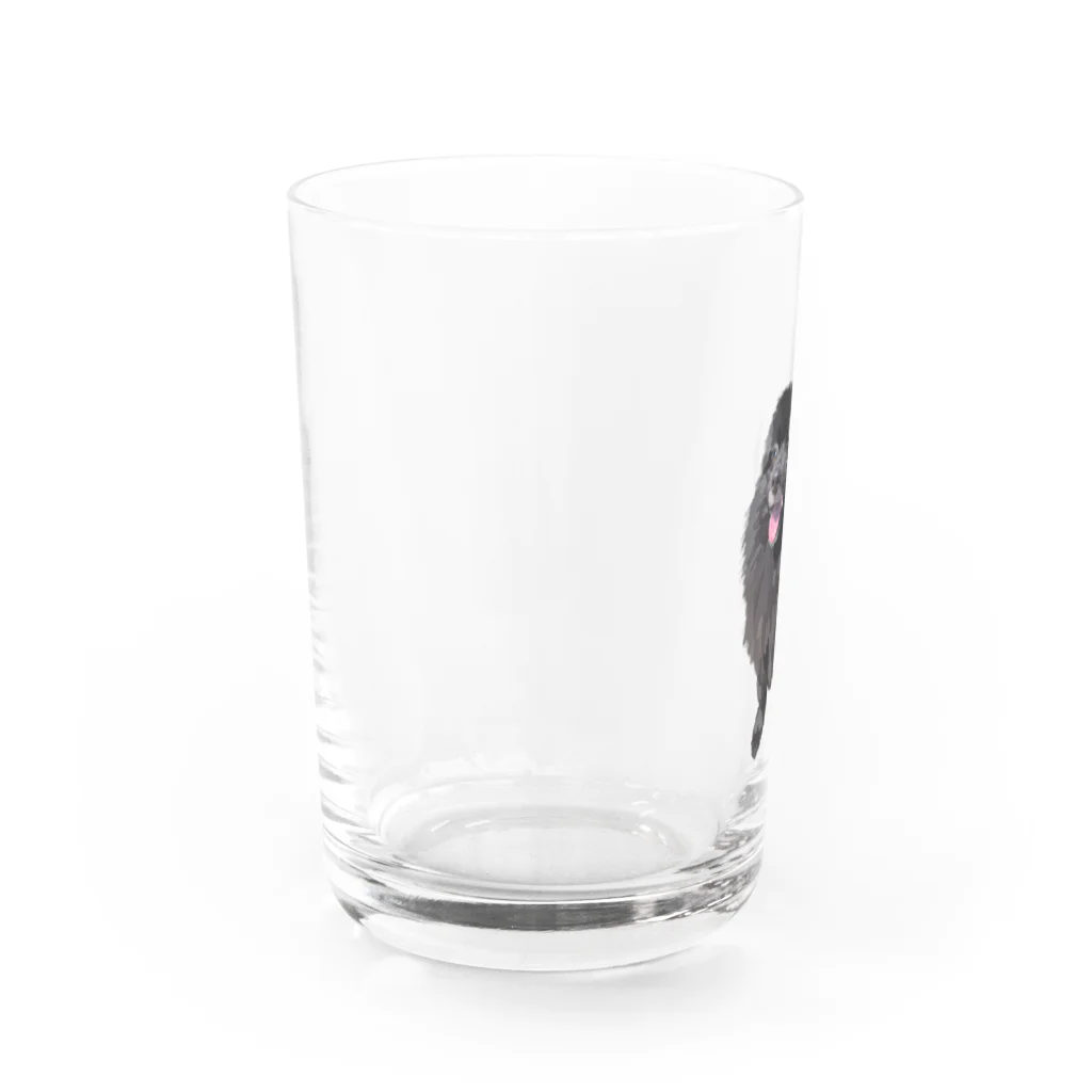 kanakoto24の黒ポメのフクちゃん Water Glass :left