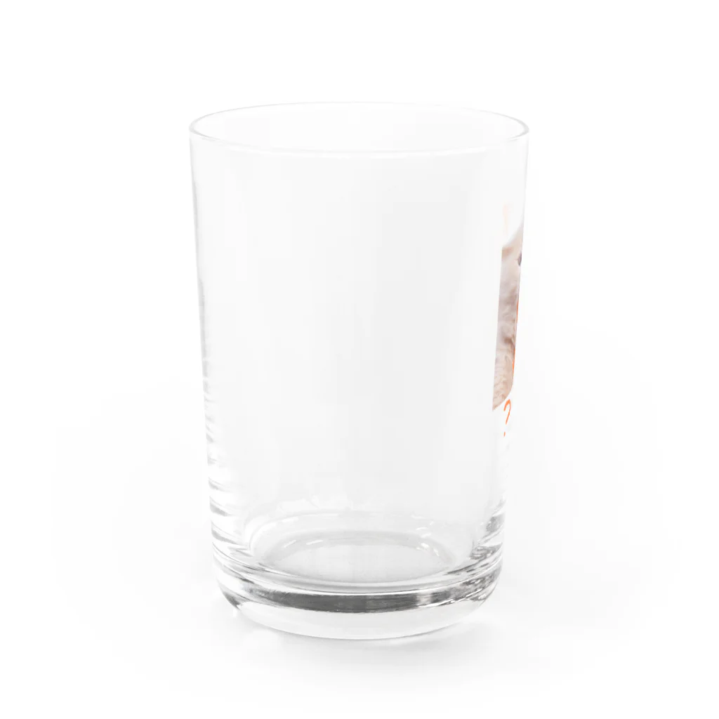 ここあまるのなんじゃ？ Water Glass :left