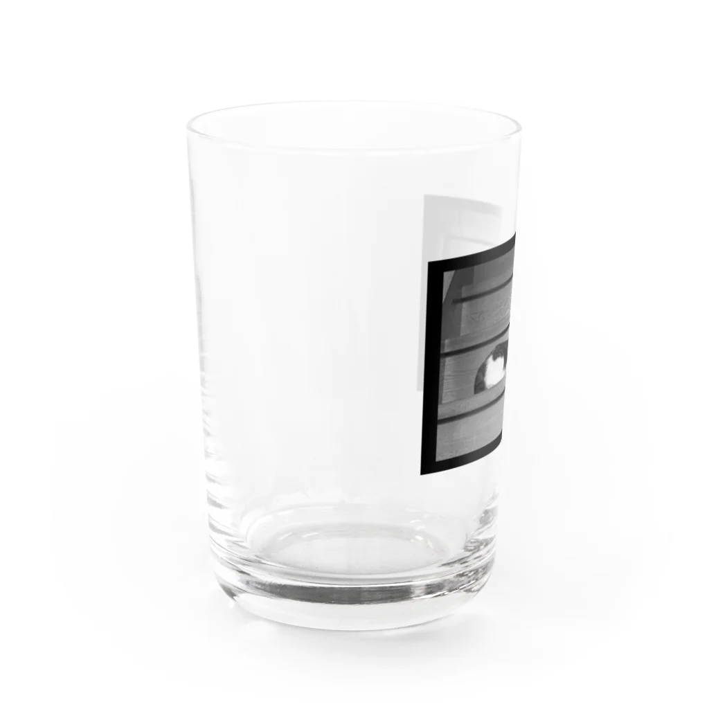 ねこのチャンのチャングラス Water Glass :left