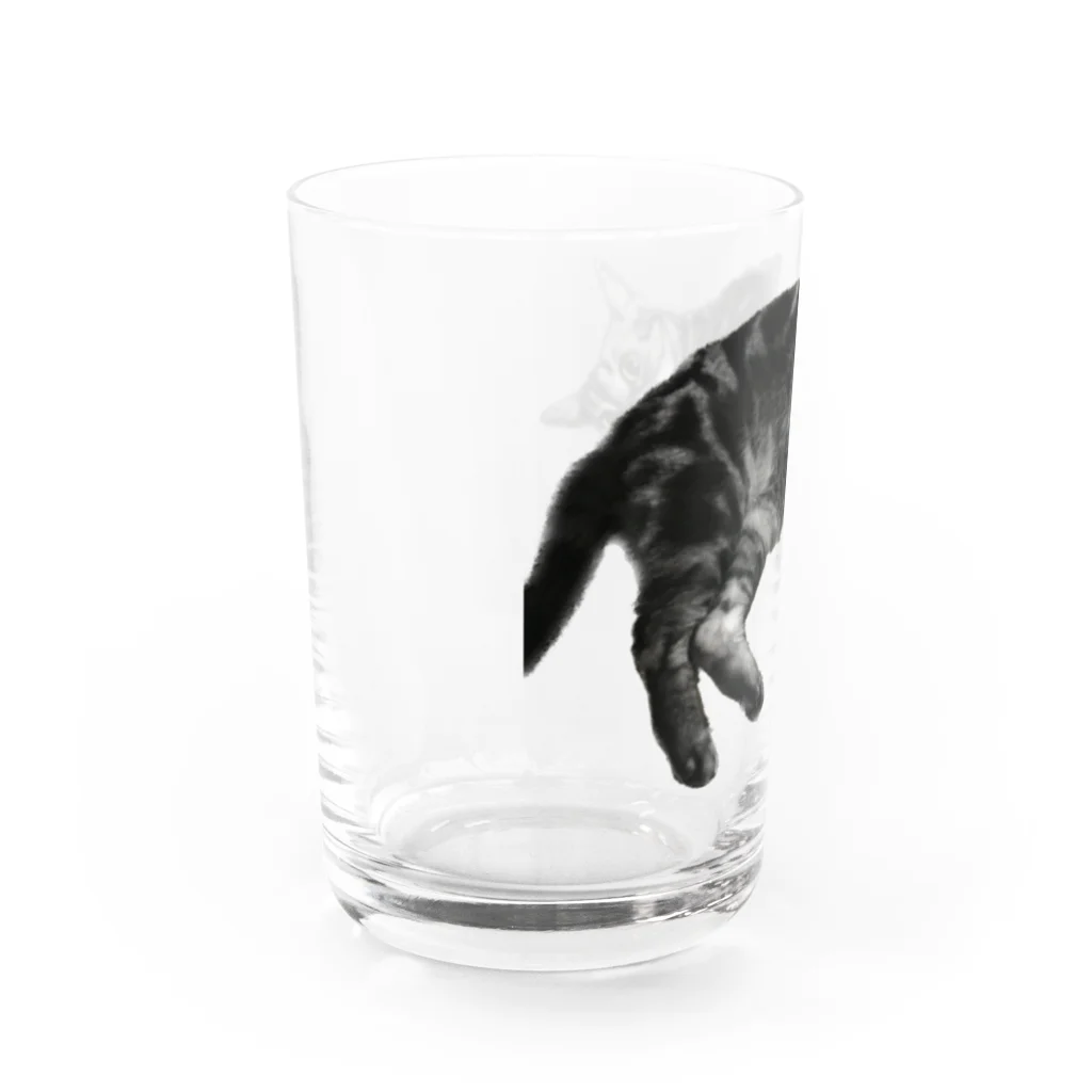 アメショーのひめちゃんのアメショーのひめちゃん⑥ Water Glass :left