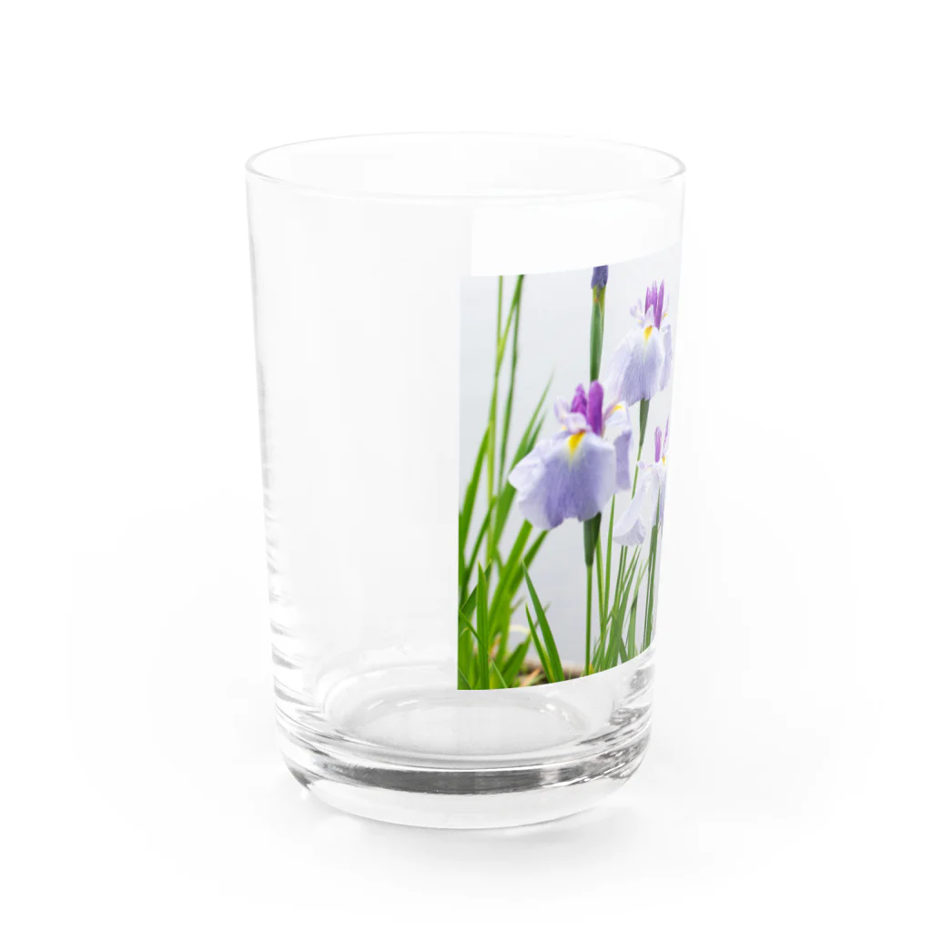 akane_art（茜音工房）の癒しの風景（花菖蒲） Water Glass :left
