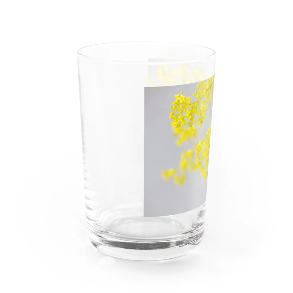 akane_art（茜音工房）の癒しの風景（オミナエシ） Water Glass :left