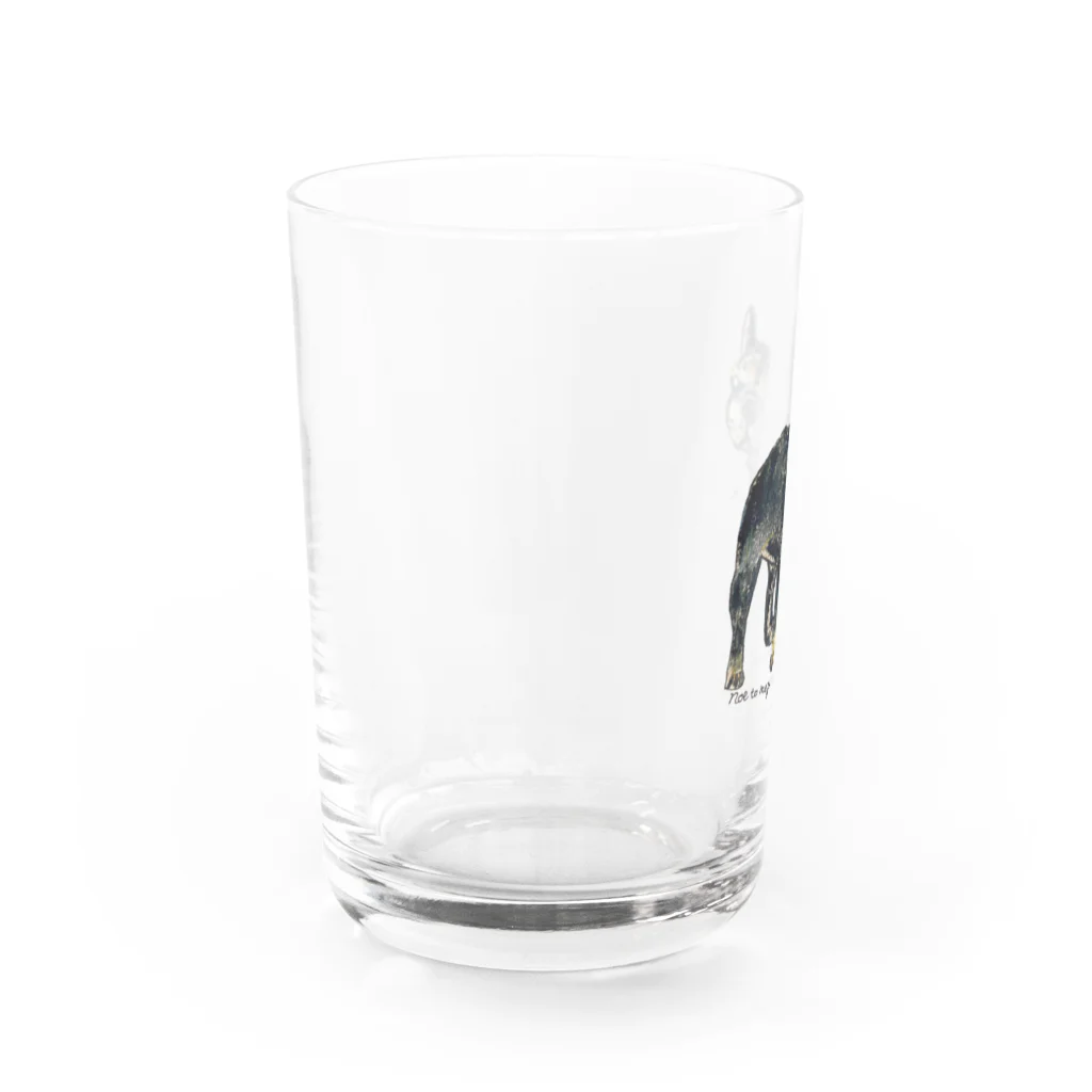 noe_to_meg (ノエとめぐ)のスタンドブリンドルブヒ Water Glass :left