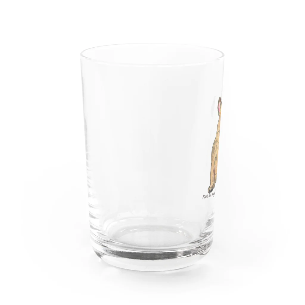 noe_to_meg (ノエとめぐ)のきょろりフォーンブヒ Water Glass :left