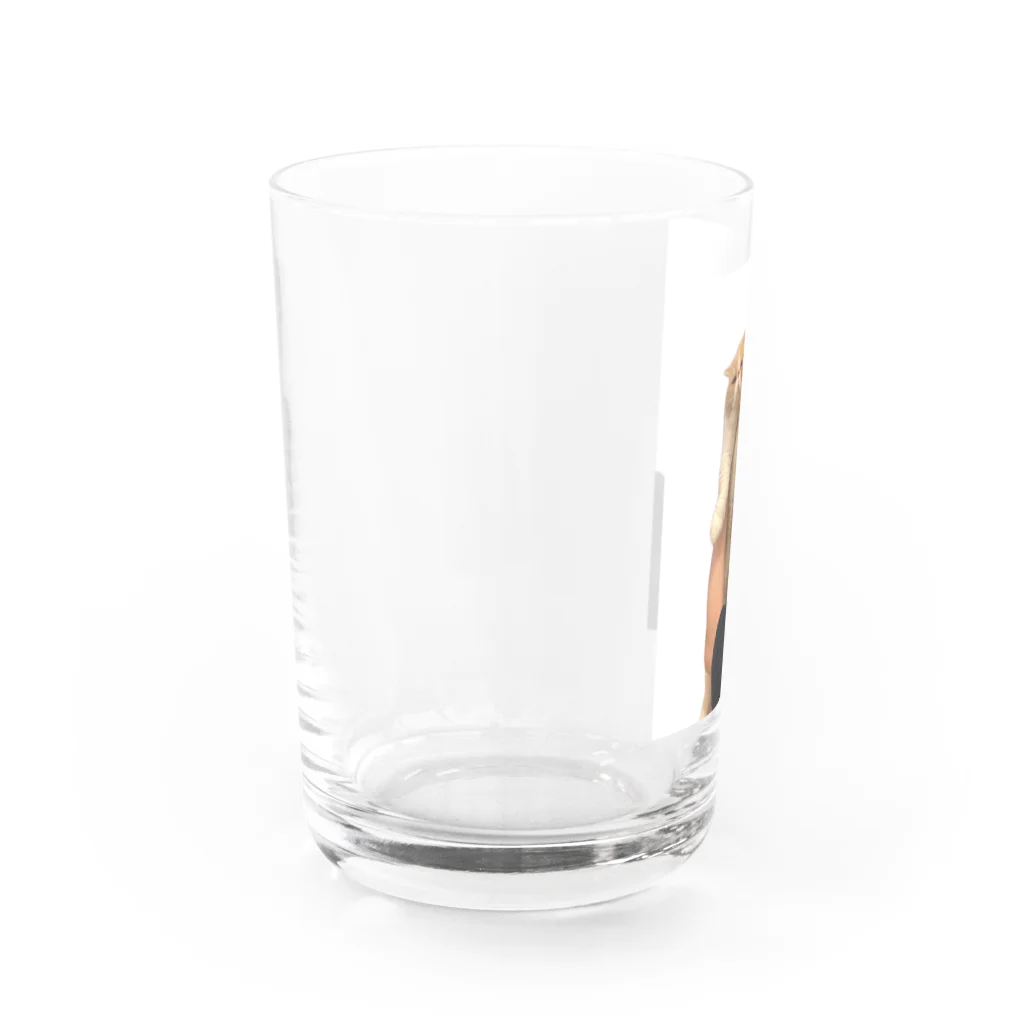 コロたんの持ち上げられてるコロたん Water Glass :left