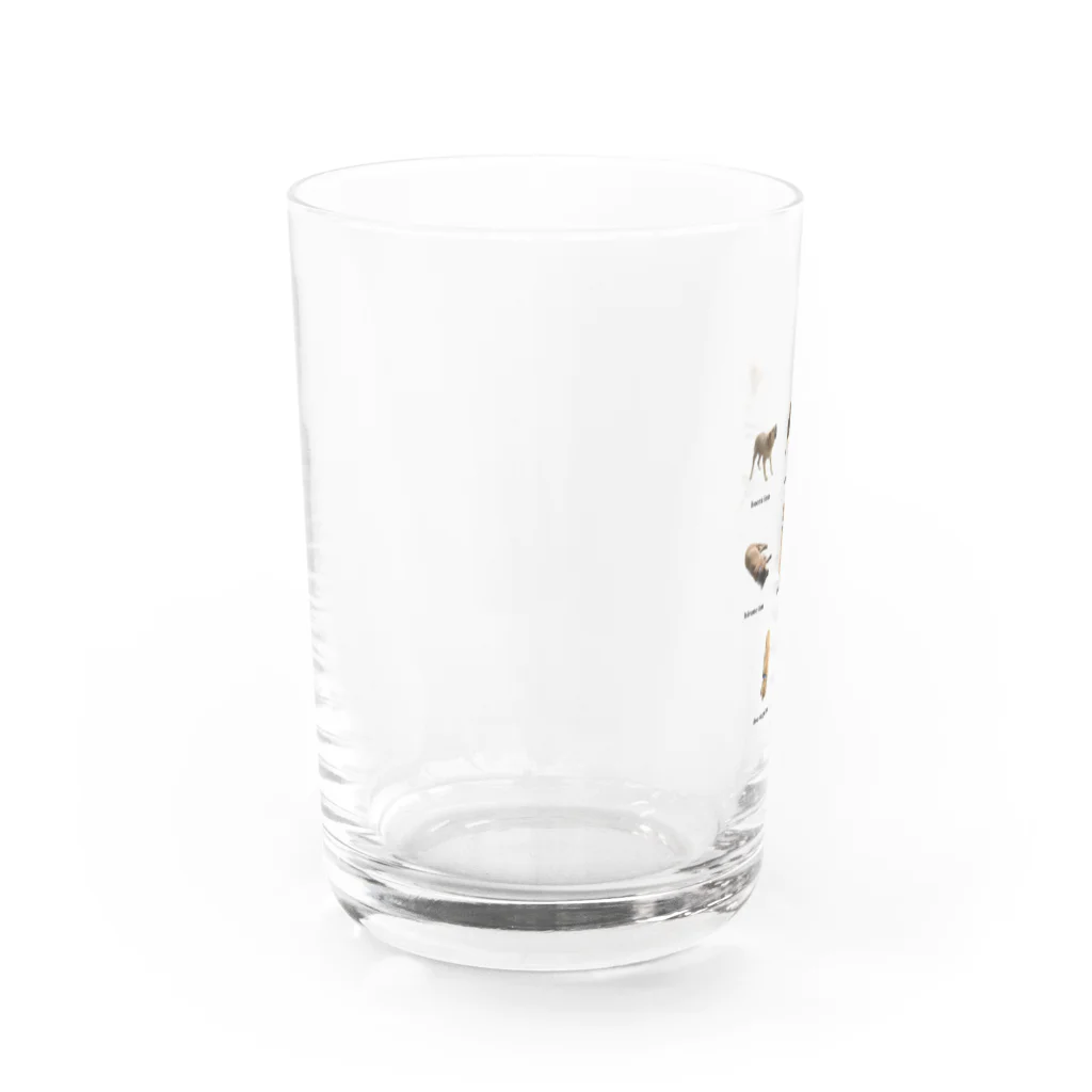 グミのみせのLOVEいぬ Water Glass :left