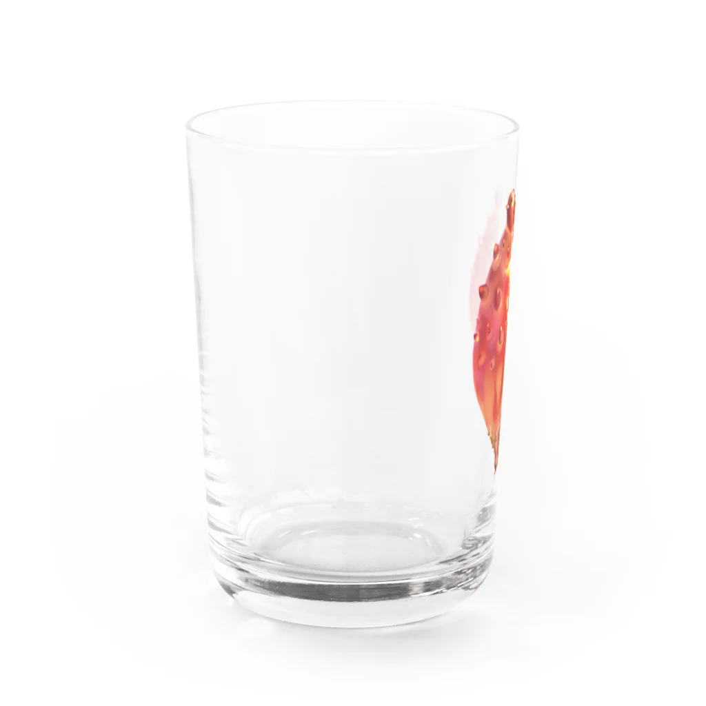 カンダ商店のほや Water Glass :left