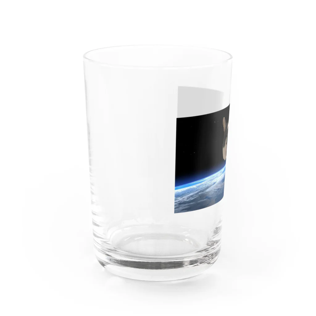 百鬼夜行の衛星猫 Water Glass :left