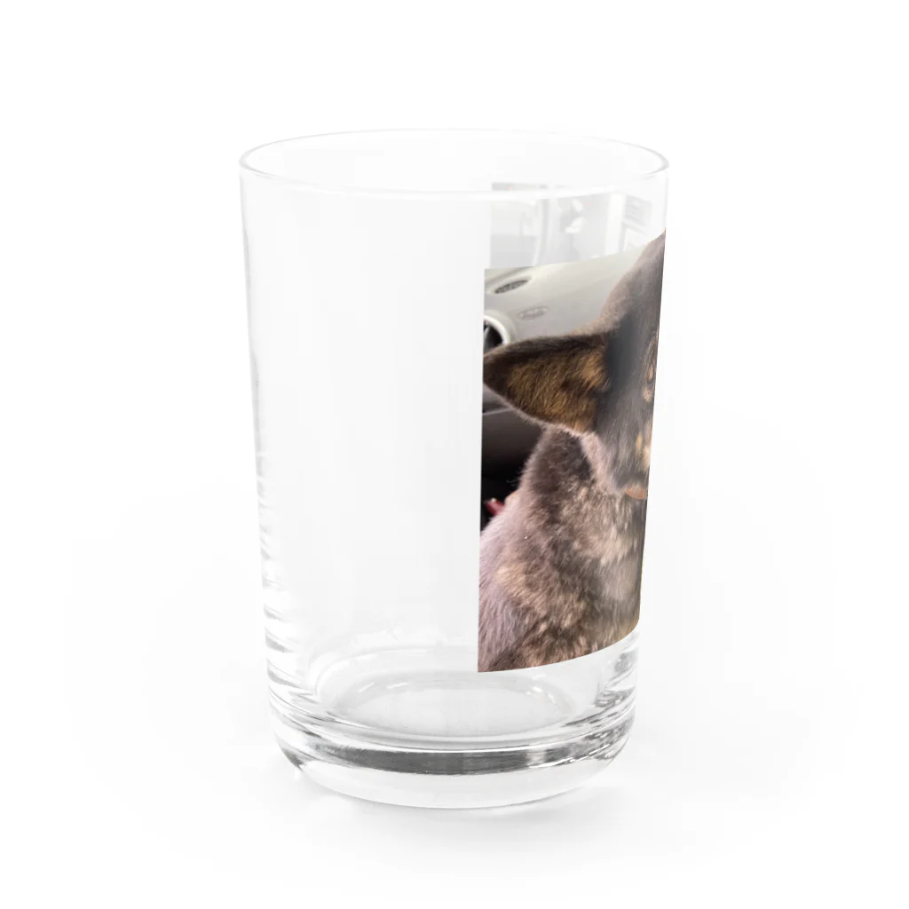 oculophiliaahのわお Water Glass :left