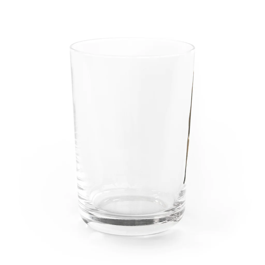 QDAのQAMALくん Water Glass :left