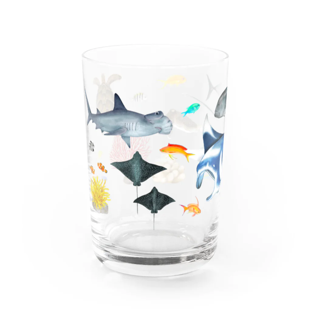 uminomadoの八重山の海の中 Water Glass :left