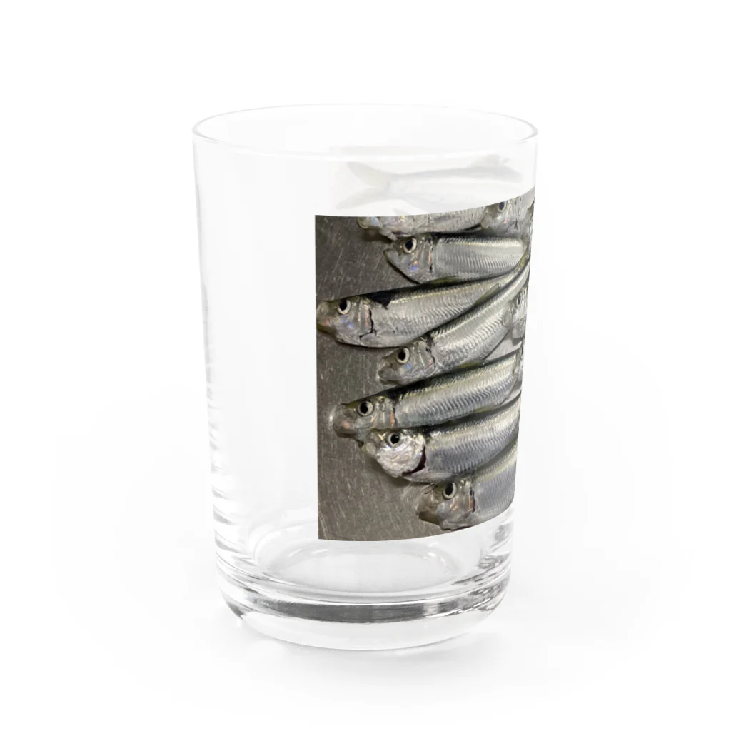 さかなっちのママカリッチ　さかな Water Glass :left