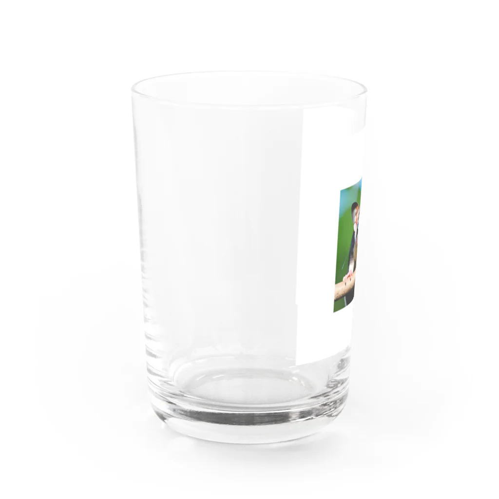 hiro358358のかわいいフクロモモンガ Water Glass :left