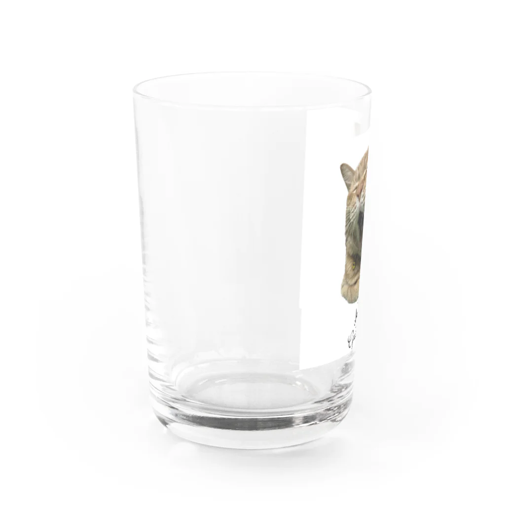 kikaku の猫ごじら Water Glass :left