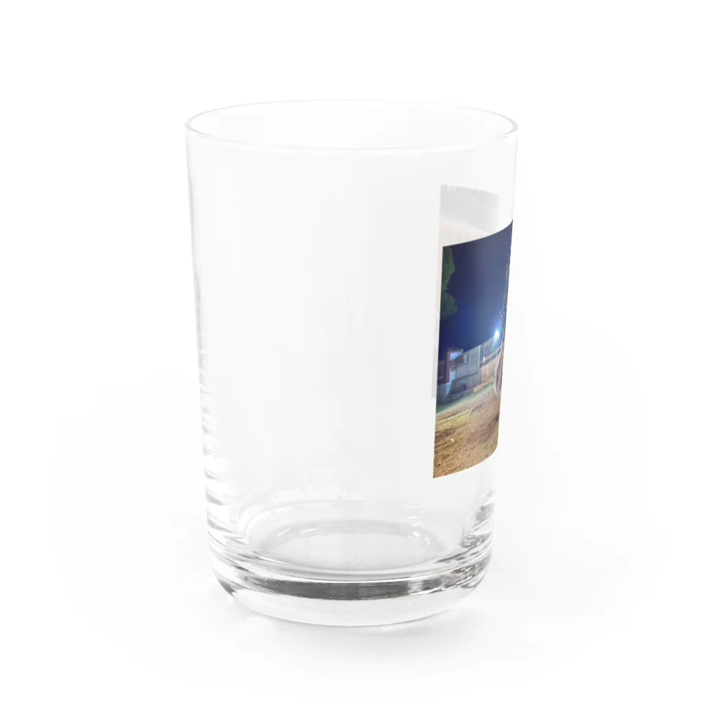 _masa_masa_のスタッフォードシャーテリア Water Glass :left